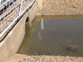 341_irrigation_channel_dscf6221.jpg