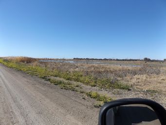 341_macquarie_marshes_dscf6303.jpg