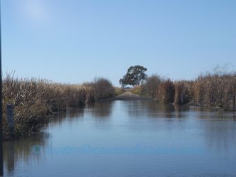 341_macquarie_marshes_dscf6312.jpg