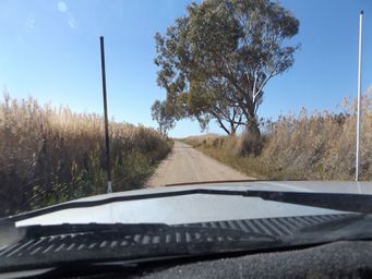 341_macquarie_marshes_dscf6314.jpg