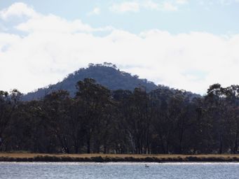 341_mount_tilga_dscf6171.jpg