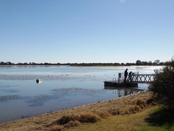 341_pontoon_jetty_gum_bend_lakedscf6061.jpg