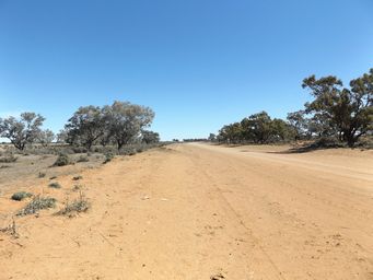 341_tilpa_to_wilcannia_road_dscf6758a.jpg