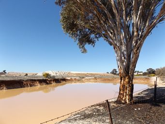 341_tin_mines_dscf6110.jpg