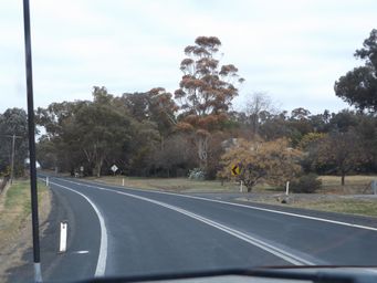 341_toogong_dscf5999c.jpg