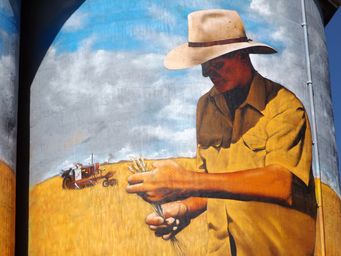 341_weethalle_silos_farmer_close_up_dscf6124.jpg