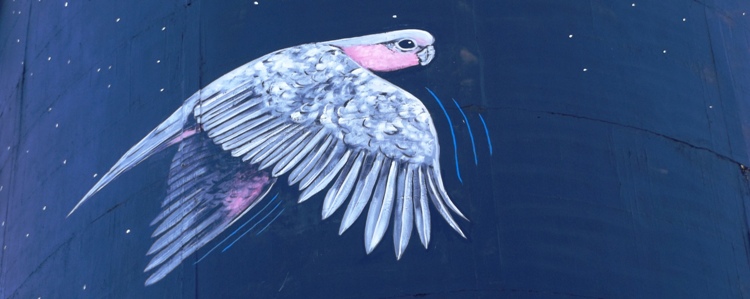 750_banner_galah_coonamble_water_tower_dscf6340.jpg