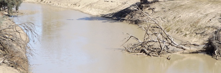 banner_750_darling_river_tilpa_dscf6731.jpg