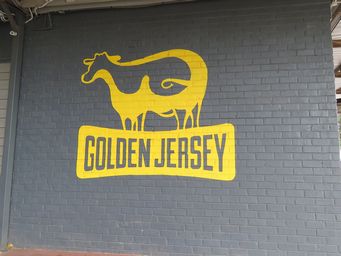 341_golden_jersey_img_8265sc.jpg