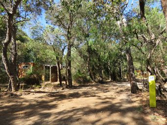 341_gracetown_cp_img_1229.jpg