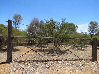 341_harrismith_img_9840.jpg