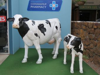 341_pharmacy_cowaramup_img_8256.jpg