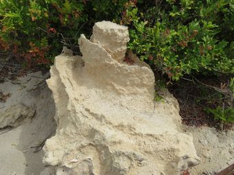 341_sandstone_img_1080.jpg