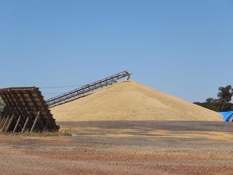 341_se_hyden_bin_img_9438.jpg