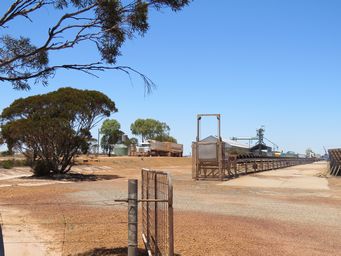 341_se_hyden_bin_img_9450.jpg