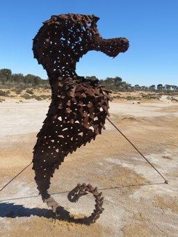 341_seahorse_img_9599s.jpg