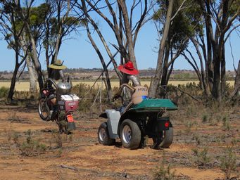 341_tin_horse_highway_img_9606.jpg