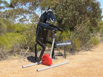 341_tin_horse_highway_img_9621.jpg