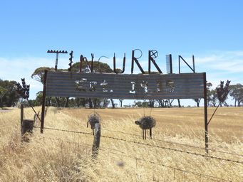 341_tincurrin_img_9854c.jpg