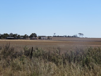 341xfarm_north_of_newdegate_img_9290.jpg