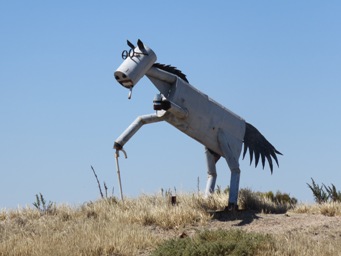 341xtin_horse_highway_img_9582c.jpg