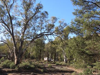 341_aroona_campground_img_3806.jpg