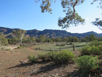 341_aroona_paddocks_img_3837.jpg