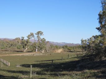 341_aroona_paddocks_to_ranges_img_3847.jpg