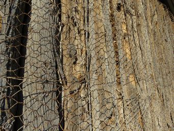 341_aroona_pug_and_pine_img_3814.jpg