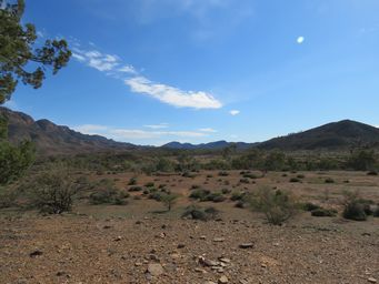 341_aroona_valley_img_3880.jpg