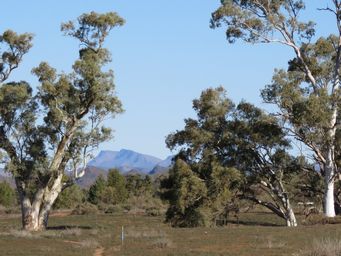 341_aroona_view_img_3852c.jpg