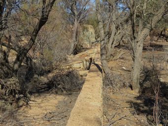 341_beresford_original_dam_img_3147.jpg
