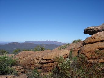 341_dsc03858.jpg
