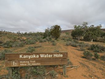 341_kanyaka_waterhole_walk_img_4088.jpg
