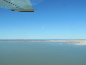 341_lake_eyre_jackboot_bay_img_2977.jpg