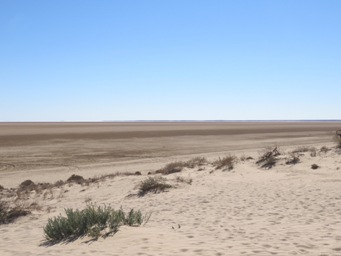 341_level_post_bay_img_3487.jpg