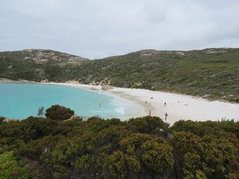 341_little_beach_img_1251.jpg