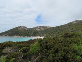 341_little_beach_walk_img_1240.jpg