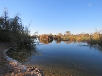 341_muloorina_waterhole_img_3441.jpg