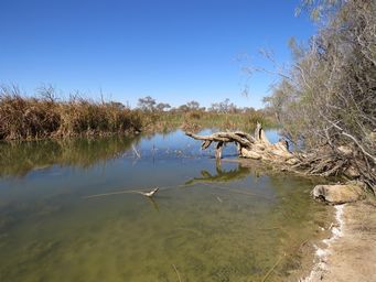 341_muloorina_waterhole_img_3548.jpg