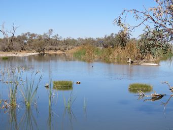 341_muloorina_waterhole_img_3560.jpg