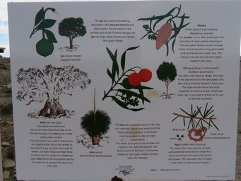 341_native_foods_img_3951sc.jpg
