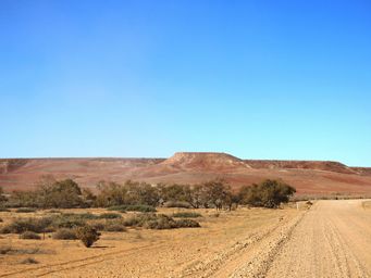 341_near_callanna_station_img_3402.jpg