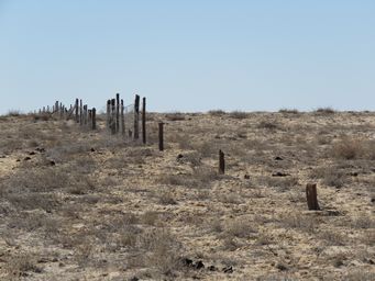 341_old_dog_fence_img_3521.jpg