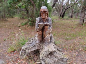 341_old_jarrah_stump_img_1340c.jpg