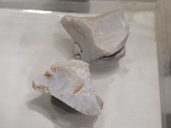 341_old_timers_mine_first_opals_img_2554.jpg