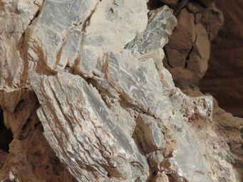 341_old_timers_mine_potch_img_2562.jpg