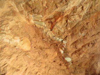 341_otm_opal_seam_img_2483.jpg