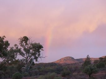 341_rainbow_img_3967.jpg
