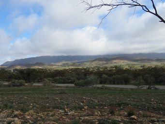 341_range_greener_img_3983.jpg